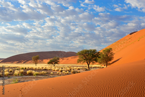 Star Trails, Namib-Naukluft Park, Namib Desert, Namibia, Africa скачать