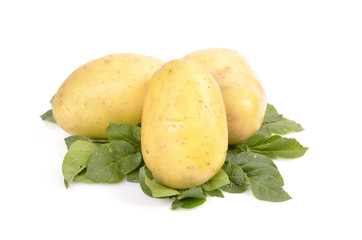Different varieties of potatoes isolated white background