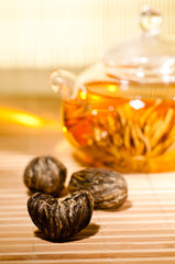 Blooming tea bulbs closeup