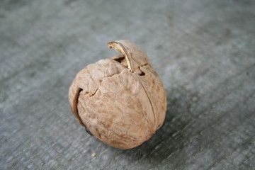 orzechy włoskie, laskowe