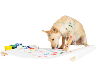 Dog painting with its paw - obrazy, fototapety, plakaty