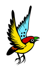 colorful of a little bird