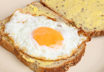 Fried Egg Sandwich