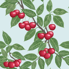 Vector seamless background with cherries
