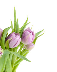 Pink tulips bouquet