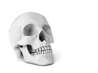 Fototapeta premium 3d skull isolated on white background
