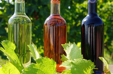 Weinflaschen - Wine Bottles