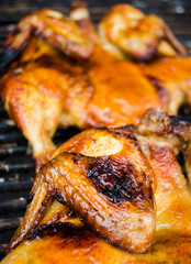 close up of grilled chicken