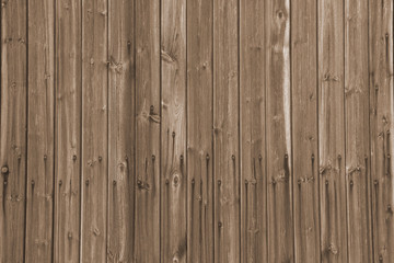 Fototapeta premium Holzwand