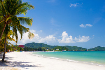 vacation on a seashore of perfect tropical island - obrazy, fototapety, plakaty