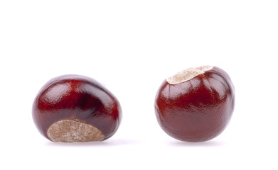 Brown chestnuts