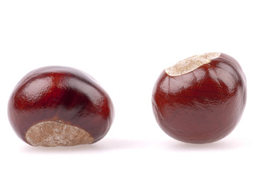 Brown chestnuts