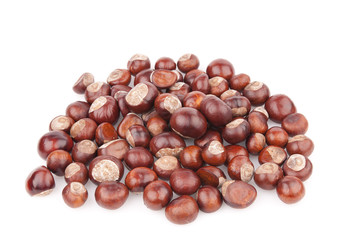 chestnuts