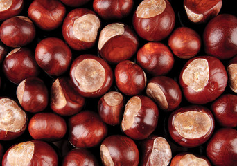 chestnuts - 44975909
