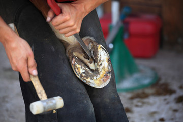 Obraz premium laying a horseshoe