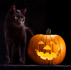 halloween pumpkin and cat