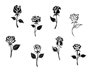 Rose flowers - obrazy, fototapety, plakaty
