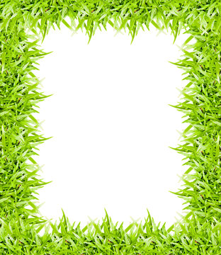 green grass frame isolated on white background