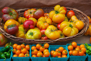 Tomatoes and Peppers
