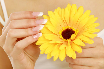 A female hand touching a flower