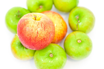 Apple and monkey apple