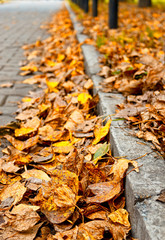 Autumn road