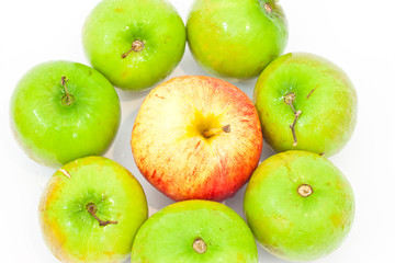 Apple and monkey apple