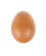 An Egg