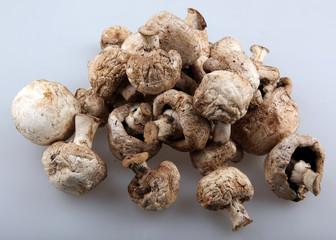 Mushrooms