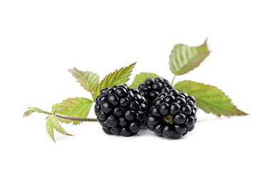 Organic blackberries