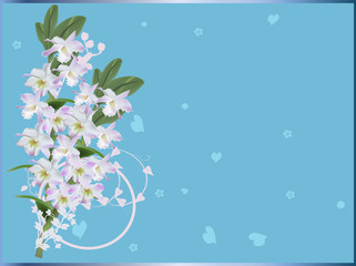 white and lilac orchids flowers on blue