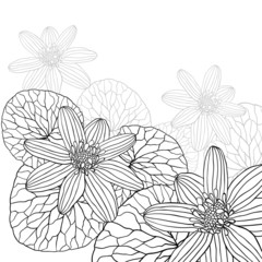 Abstract flowers background with place for your text