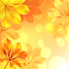 Fototapeta premium Autumn background with yellow leaves. Vector illustration.