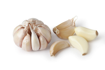 Garlic
