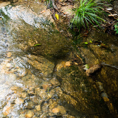 clear water in pond