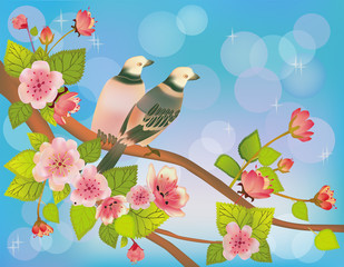 sakura ,bird , spring , postcard .
