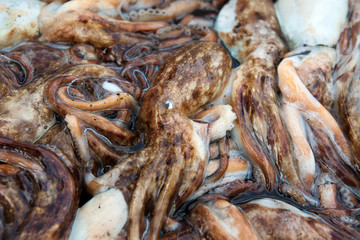 Fresh Octopus at a food market