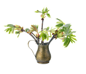 Young branch of horse chestnut tree in copper jug
