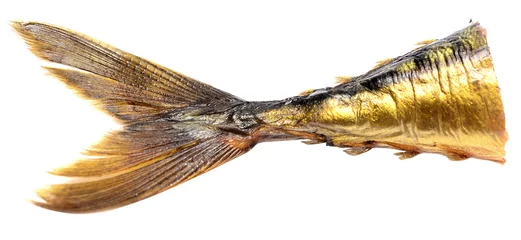 Peel and stick wallpaper Fish fish tail