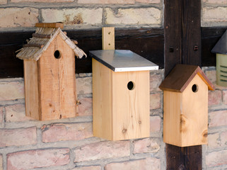 vogelhaus 4