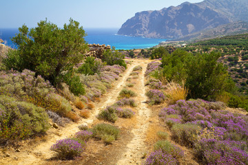 Side road at the sea on Crete, Greece