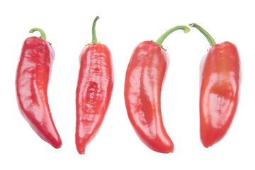 Red peppers isolated on a white background