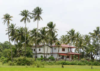 Fototapeta na wymiar A traditional house in the tourist destination Goa, India