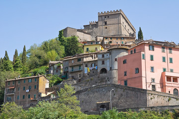Fototapeta na wymiar Panoramic view of Soriano nel Cimino. Lazio. Italy.