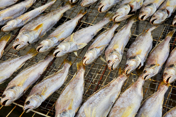 Fototapeta premium Dried salt Fish