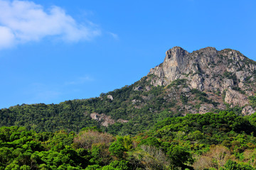 Fototapeta na wymiar Lion Rock, lion like mountain in Hong Kong, one of the symbol of