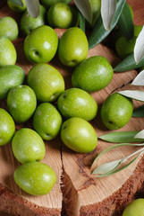 olive biologiche