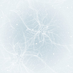 Frost on the window like Flower Poinsettia / Seamless pattern