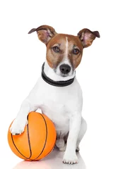 Crédence de cuisine en verre imprimé Chien fou Basket ball  winner dog