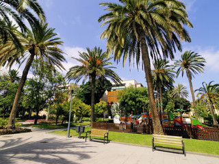 Park in Las Palmas, Gran Canaria, Canary Islands, Spain © Karol Kozłowski